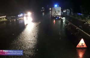 В районе Иневежа автомобилист сбил лошадь