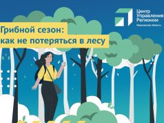 Как не потеряться в лесу