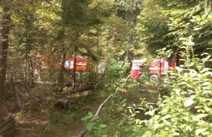 В Ивановском районе горит лес