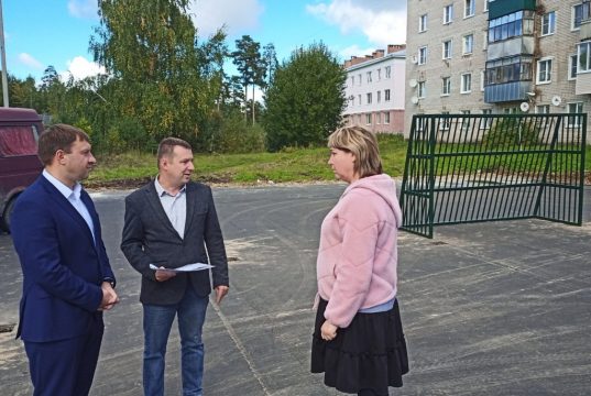 Сергей Низов проконтролировал реализацию проектов местных инициатив в селах Богородское и Железнодорожный