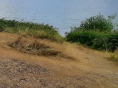 В собственности жителя Ивановского района оказалась река