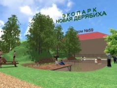 Семь местных инициатив Ивановского района будут реализованы в этом году