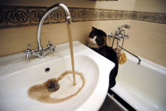 Это временно: из кранов кохомчан пошла желтая вода