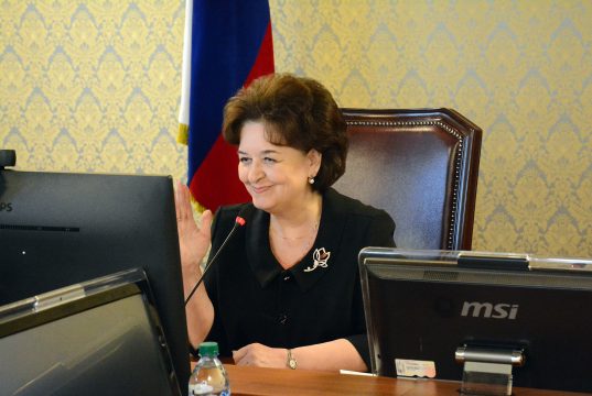 Члены комиссии во вопросам социальной политики обсудили вопросы занятости и медицины