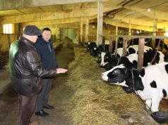 Глава Ивановского района Сергей Низов посетил фермерское хозяйство Юрия Чухина