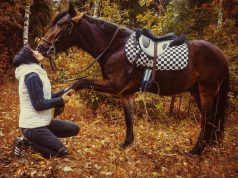 Хорошее отношение к особенным лошадям