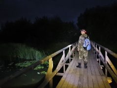 Дорога в никуда