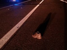 Вынесен приговор ивановцу, который на своем автомобиле сбил женщину в Кохме