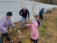 В селе Ново-Талицы прошла акция «Посади дерево»