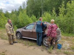 В поисках грибов и грибников