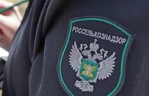 В Ивановском районе продавали животноводческую продукцию без документов, подтверждающих ее качество