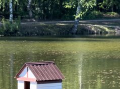 В селе Ново -Талицы на пруду установили домик для уток