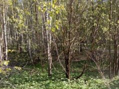 Собственник земельного участка сельскохозяйственного назначения в Ивановском районе привлечен к административной ответственности