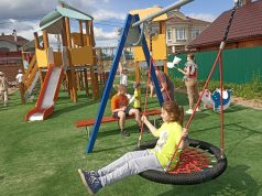 Кошки на деревне, собаки на земле