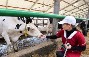 В регионе увеличен размер единовременной выплаты молодым специалистам при трудоустройстве на предприятия АПК