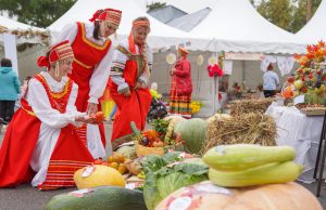 Стартовала конкурсная программа «Дня урожая -2024»