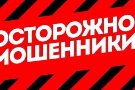 В Кохме женщина попыталась заработать на инвестициях, но вместо дохода лишилась собственных денег