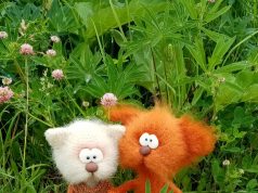 «Бумажное» кружево и кошачья коллекция