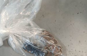 Сотрудниками ИК-5 УФСИН России по Ивановской области предотвращена доставка осужденным наркотических веществ