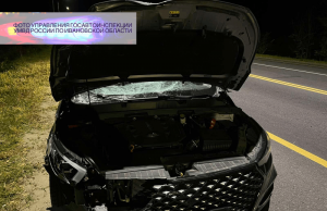 В Ивановском районе произошло ДТП в лосем