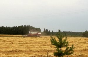 В Ивановском районе продолжается сбор урожая зерновых культур