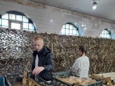 Школьники Ивановского района плетут маскировочные сети для участников СВО