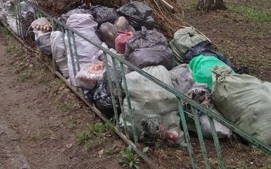 ООО «Региональный оператор по обращению с ТКО» привлечено к ответственности за нарушение периодичности вывоза мусора