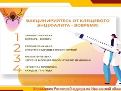 Октябрь – лучшее время вакцинации от клещевого вирусного энцефалита