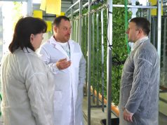 Глава Ивановского района Сергей Низов посетил крестьянско-фермерское хозяйство по выращиванию зеленых культур