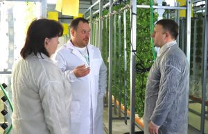 Глава Ивановского района Сергей Низов посетил крестьянско-фермерское хозяйство по выращиванию зеленых культур