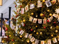 Новогоднюю ель для украшения дома жители Ивановской области смогут приобрести в лесничествах