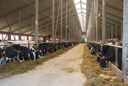 Для развития сельхозпроизводства расширены меры государственной поддержки в Ивановской области