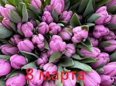 Дорогие женщины!