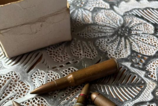 Сотрудники Росгвардии изъяли незаконно хранящиеся патроны у жителя Ивановского района