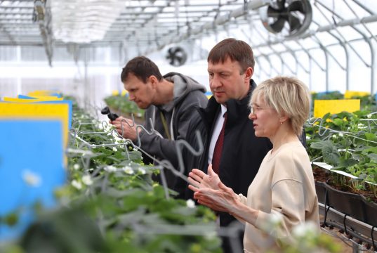 Сергей Низов посетил ягодную ферму в деревне Храброво