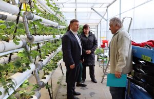 В преддверии Дня предпринимателя Сергей Низов посетил ферму в д.Василево