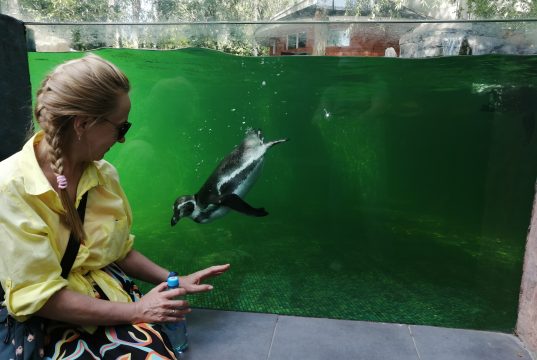 Поездка в зоопарк превратилась в неделю новых открытий