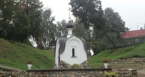 В регионе проведут проверку качества родниковых вод