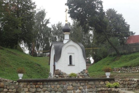 В регионе проведут проверку качества родниковых вод