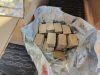 В регионе проводится ежегодная плановая иммунизация диких животных