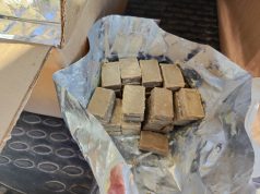 В регионе проводится ежегодная плановая иммунизация диких животных