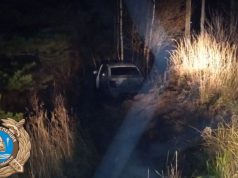 В Ивановском округе водитель автомобиля не справился с управлением и врезался в дерево