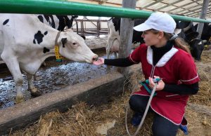 С 2026 года размер единовременной выплаты молодым специалистам при трудоустройстве на предприятия АПК составит 150 тыс. рублей