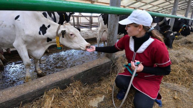 photo_2024-12-26_18-18-00