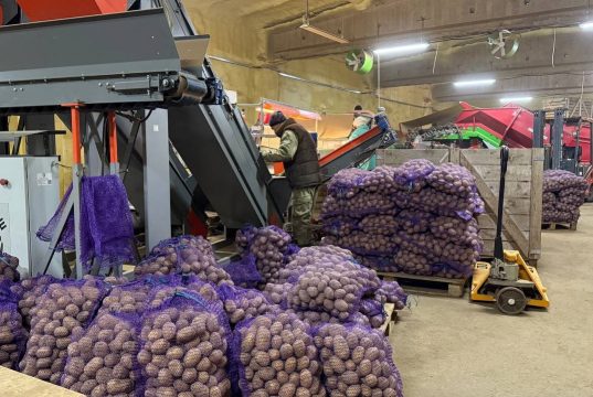 В регионе в сельхозоборот введено 42 тысячи гектаров заброшенных земель