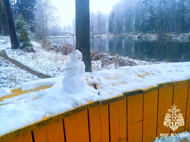 Фото для статьи (1)