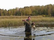 Каждый кулик своё болото хвалит