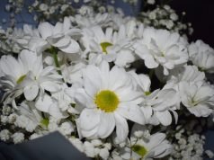 9 января вековой юбилей отметила жительница областного центра, ветеран, труженица тыла Тамара Васильевна Гаврилова