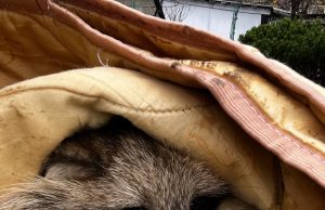 О тех, кто не остался в стороне