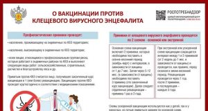 22 февраля отмечался Всемирный днем борьбы с энцефалитом